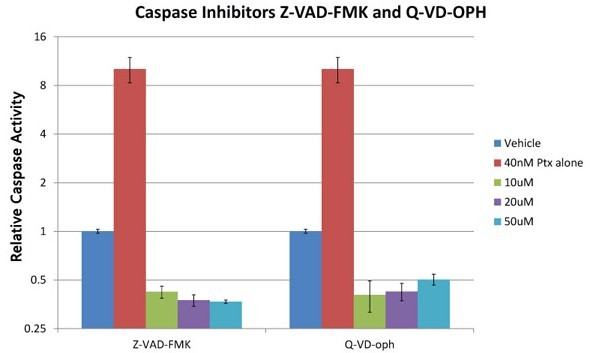 Z-VAD-FMK